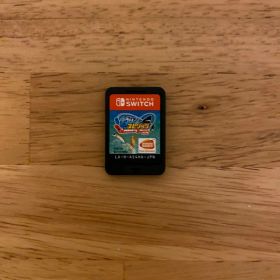 Nintendo Switch 釣りスピリッツ ソフトのみ