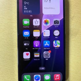 Apple iPhone 13 Pro Max 512GB グラファイト 海外