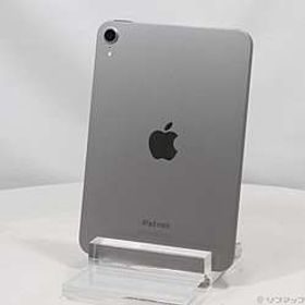 iPad mini(A17 Pro) 256GB スペースグレイ MXNA3J／A Wi-Fi ［8.3インチ液晶／A17 Pro］