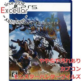 [bn:13] モンスターハンターワイルズ PS5