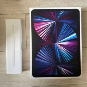 iPad Pro 11inch 256GB ペン付き