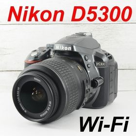 ❤️希少グレー❤️WI-Fi &自撮り❤️Nikon D5300 0860(デジタル一眼)