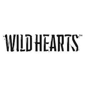WILD HEARTS 【PS5ゲームソフト】