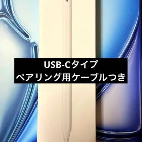【美品】Apple Pencil USB-Cタイプ 1本 ケーブルつき