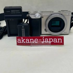 SONY Alpha a6000シルバー #166