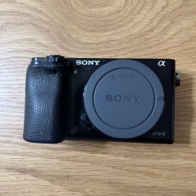 Sony α6000 ミラーレス一眼