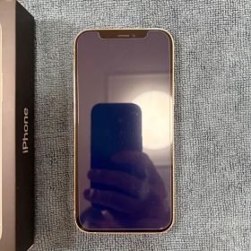 Apple iPhone 12 Pro シルバー 本体 箱付き