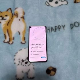 Google Pixel 5 新品¥40,994 中古¥16,500 | 新品・中古のネット最安値