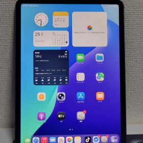 iPad Pro 11 (第2世代) Wi-Fi Cellular 256GB