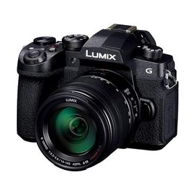パナソニック ミラーレス一眼カメラ ルミックス G99DH 高倍率ズームレンズキット ブラック DC-G99DH-K