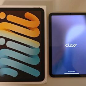 iPad mini6 WiFi 256GB 92.5% 新品フィルム付属