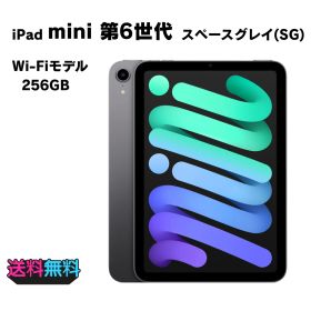 【動作確認・初期化済み】超美品 電池100％(充放電45回） Apple iPad mini 6 Wi-Fi 256GB スペースグレイ