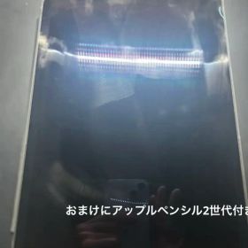 iPadpro11インチ 2世代 アップルペンシル2世代付き