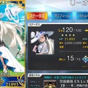 石2582個 リリス宝具5 オルガマリー宝具3 モルガン宝具3 黒の聖杯2枚 カレイドスコープ2個 | FGOのアカウントデータ、RMTの販売・買取一覧