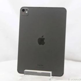 〔中古品〕 iPad Pro 11インチ 第5世代 標準ガラス 256GB スペースブラック MVW13J／A SIMフリー【344】