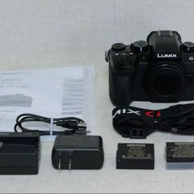 パナソニック LUMIX DC-G99D ボディ バッテリー2個 充電器付き