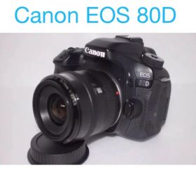 保証付き/大人気機種 キャノン Canon EOS 80D 標準レンズセット