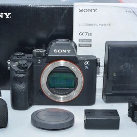 ソニー SONY α7SⅡ ボディ ILCE-7SM2