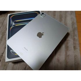 iPad Pro 11インチ M4 2024 新品 116,600円 中古 115,000円 | ネット最