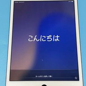 iPad mini5 256GB MUU32J/A A2133 ジャンク