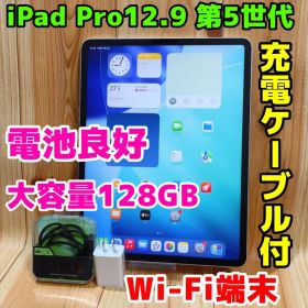 Wi-Fi 本体 iPad Pro 12.9 第5世代 128 GB 369