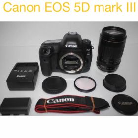 一眼レフカメラCanon EOS 5D Mark IV望遠レンズセット