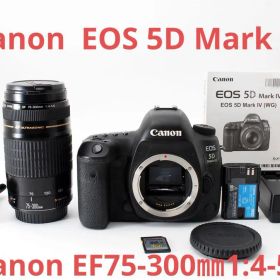 保証付き Canon EOS 5D Mark IV望遠レンズセット