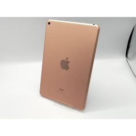 iPad mini 2019 (第5世代) 中古 10,500円 | ネット最安値の価格