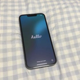 Apple iPhone 13Pro 本体