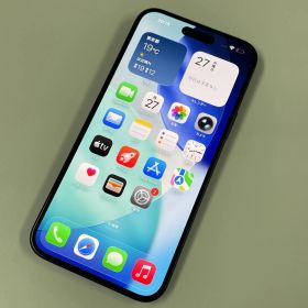 SIMフリー iPhone 15 Plus 256GB ブラック