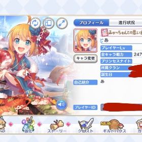 総戦力2400↑ 引退 | プリンセスコネクト(プリコネR)のアカウントデータ、RMTの販売・買取一覧