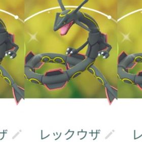 9112【PTC】在庫処分！レックウザ 12匹 内色違い3匹 | ポケモンGOのアカウントデータ、RMTの販売・買取一覧