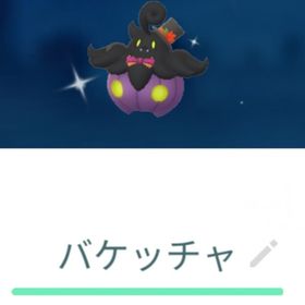 色違い飾りバケッチャ トレード XS XL XXL | ポケモンGOのアカウントデータ、RMTの販売・買取一覧