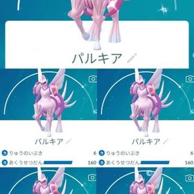 8778【PTC】在庫処分！国産！オリジンパルキア11匹 | ポケモンGOのアカウントデータ、RMTの販売・買取一覧