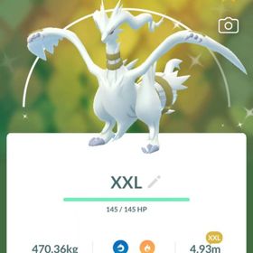 くちらたに様専用 | ポケモンGOのアカウントデータ、RMTの販売・買取一覧