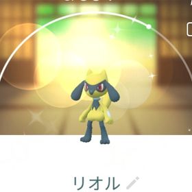 7912【PTC】在庫処分！色違いリオル | ポケモンGOのアカウントデータ、RMTの販売・買取一覧