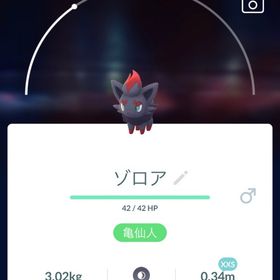 非対面ゾロア（原種）100匹交換 | ポケモンGOのトレード(モンスター)、RMTの販売・買取一覧