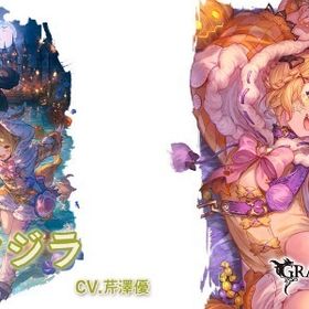 光ヴァジラ/干支コンプ/金月500↑/全超越/最終賢者9↑/ダマヒヒ50↑/約定レゾブースト10↑ | グラブルのアカウントデータ、RMTの販売・買取一覧