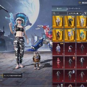 PUBGmobile | PUBG MOBILEのアカウントデータ、RMTの販売・買取一覧