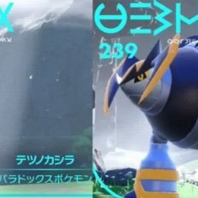 テツノカシラ·テツノイワオ(マスターボールにて捕獲)このままご購入下さい。| ポケモンSV(スカーレットバイオレット)のアイテム、RMTの販売・買取一覧