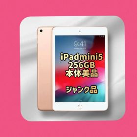 【ジャンク】Apple iPad mini (第5世代) 256GB