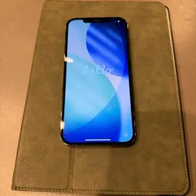 iPhone12pro MAX 256G