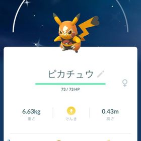 マスクドピカチュウ色違いメス | ポケモンGOのトレード(モンスター)、RMTの販売・買取一覧