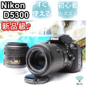 【新品級】Nikon D5300 Wレンズ Wi-Fi転送可能 初心者おススメ