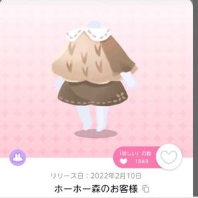 ホーホー森のお客様双子分 | ポケコロツイン(ポケツイ)のアカウントデータ、RMTの販売・買取一覧