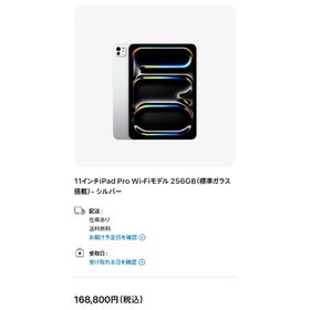iPad Pro 11インチ M4 Wi-Fi 256GB 256GB 本体の(タブレット)