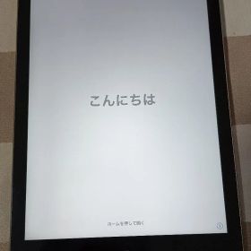 Apple iPad シルバー iPad Air A1475 MD792JA/A