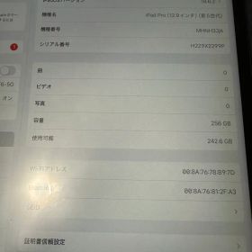 iPad Pro 12.9インチ 第五世代 256GB Wi-Fiモデル