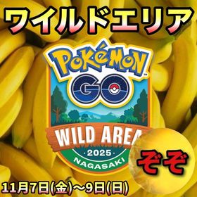 【ハンペン様専用】ワイルとエリアの専用です‼🤗✨ | ポケモンGOの代行、RMTの販売・買取一覧
