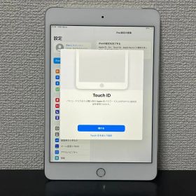 【ジャンク】SoftBank iPad mini 第4世代 16GB【動確済】